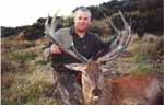 great red stag trophy